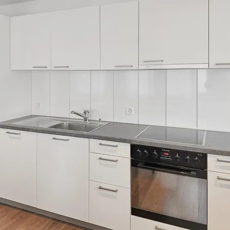 Διαμέρισμα Executive 2br Flat 100sqm - Mainau 6 Ζυρίχη